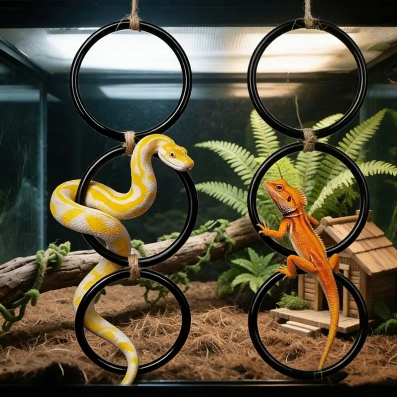 Reptile Climbing Ring Toy 3 Tier Hanging Rings 32.5cm Snake Lizard Bearded Dragon Parrot Terrarium Cage Perch Accessories
