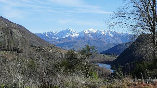 

40W Electric Roller for Muscle Body Relaxing High Frequency Rolling Massage Fitness Anti-Cellulite Slimming Machine for Women