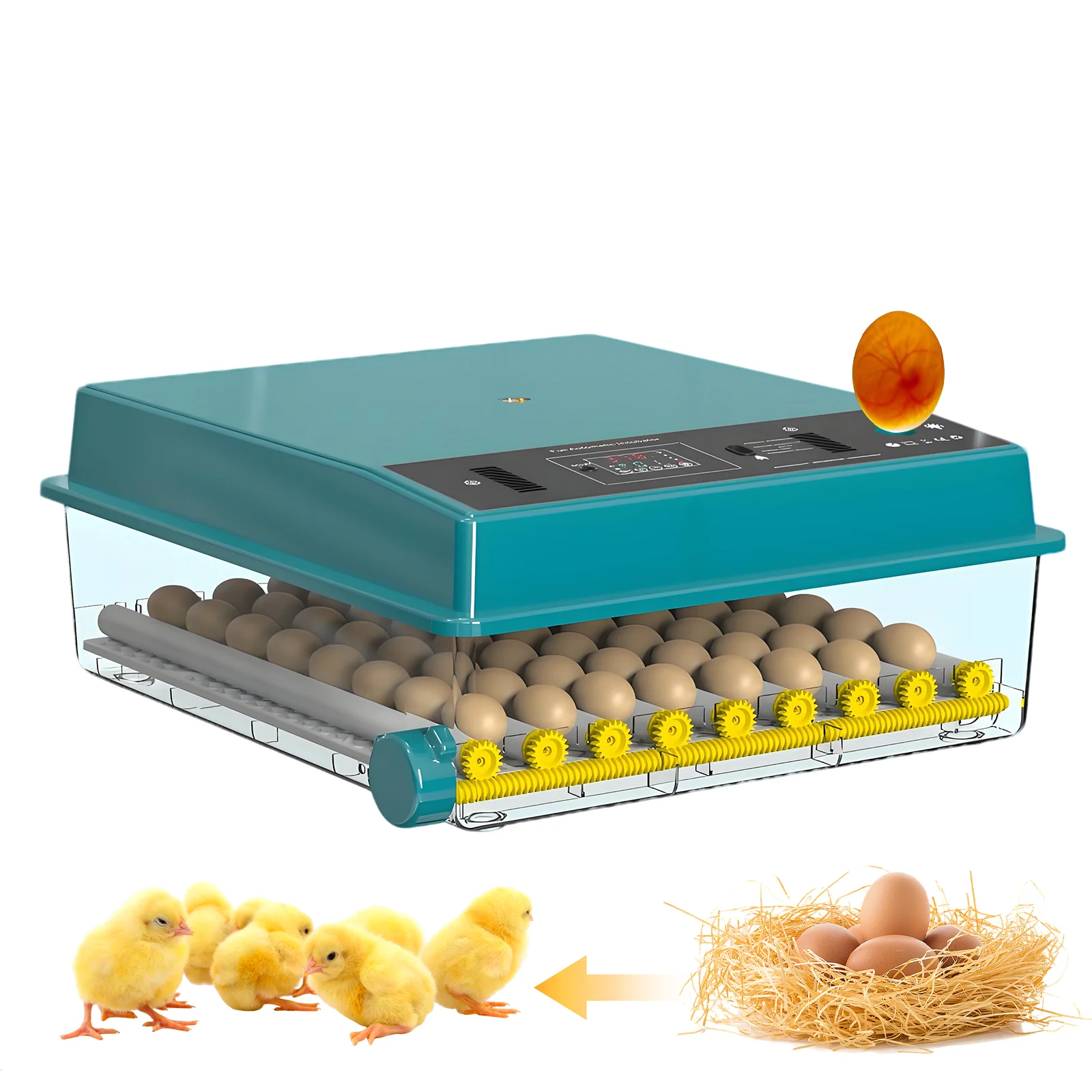 Incubadora de 64 Huevos, Incubadora Totalmente Automática para Uso Doméstico, Diseñada para Avicultura Inteligente, Volteo Automático de Huevos