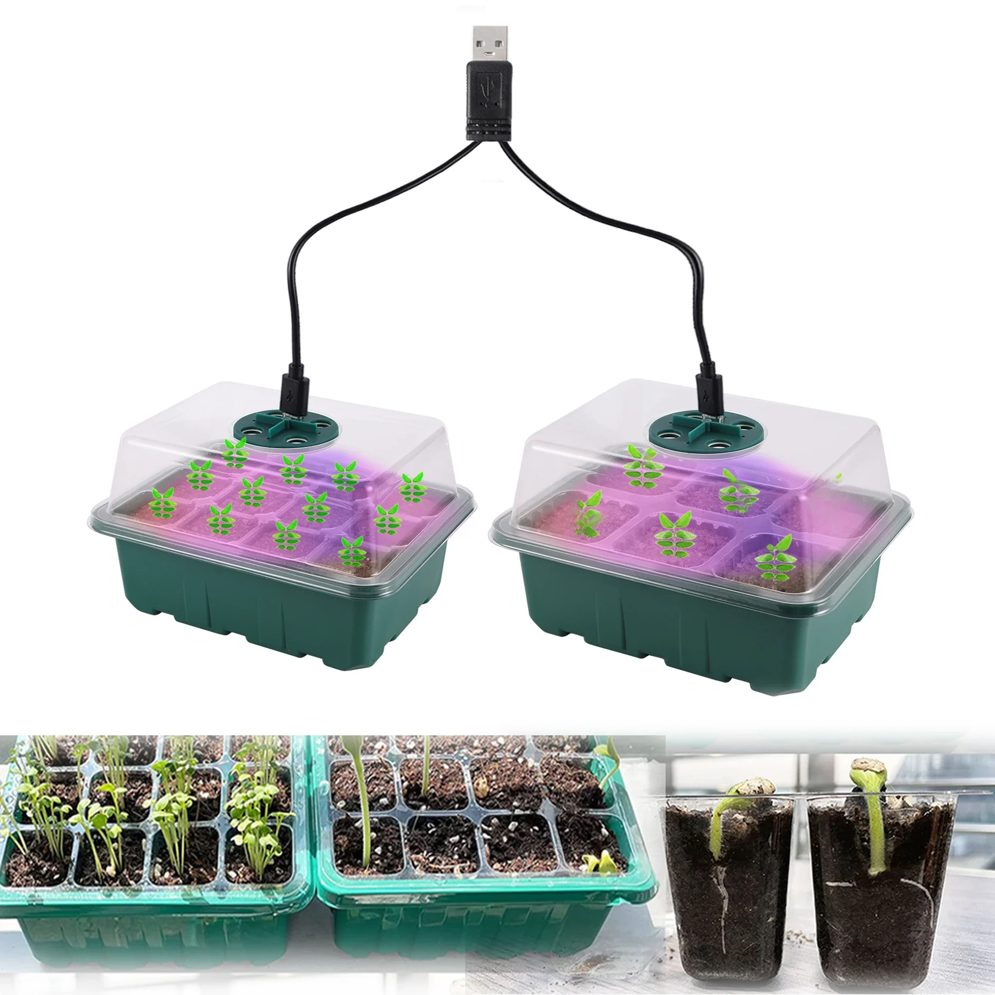 Seed Starter Tray Box com LED Grow Light, Nursery Pot, Plantador de germinação de mudas, Ventilação