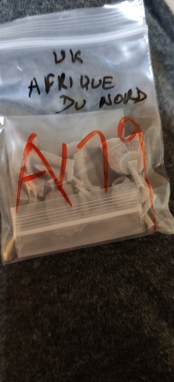 Buyer photo of this resin kit