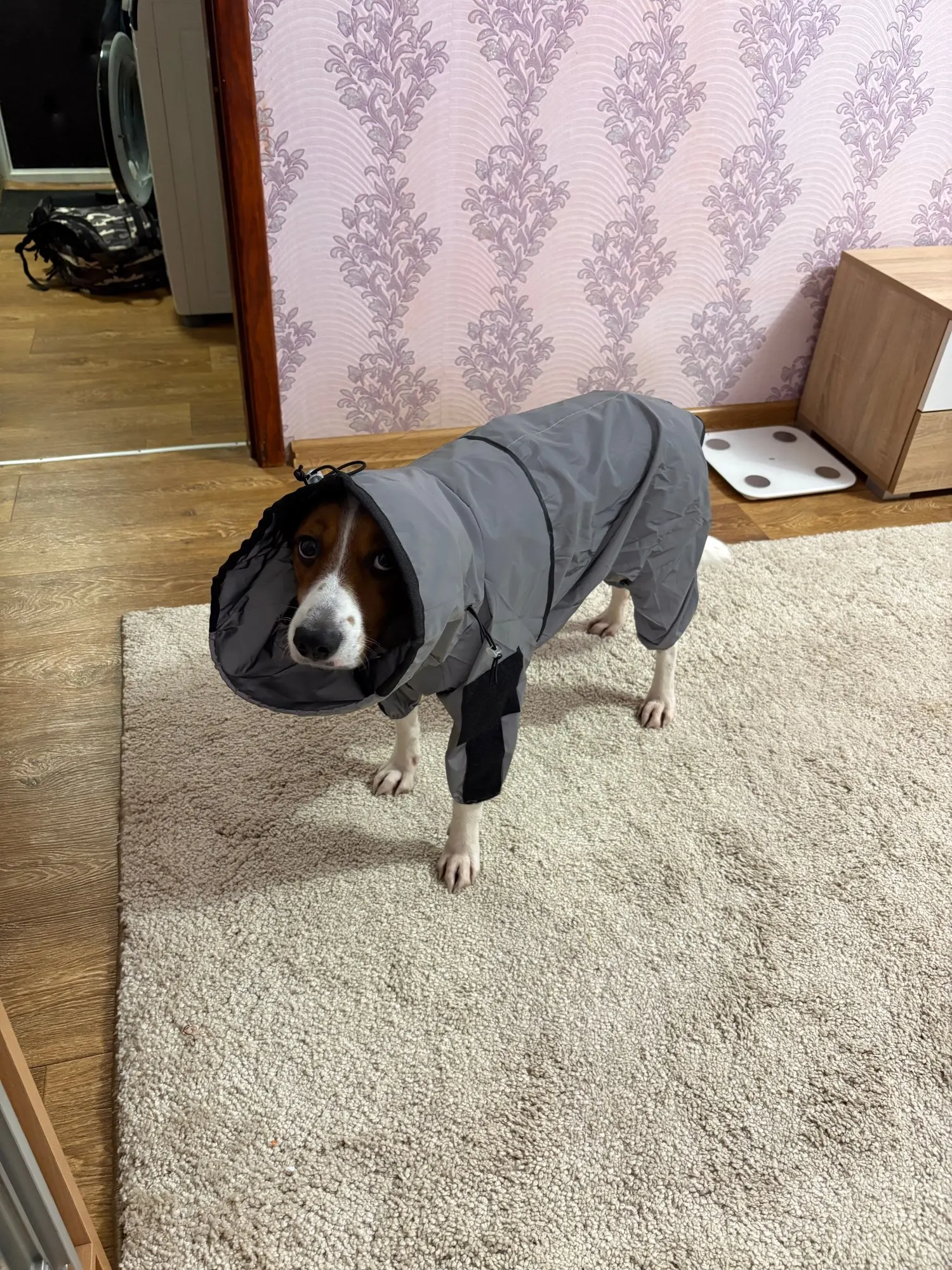 구매후기