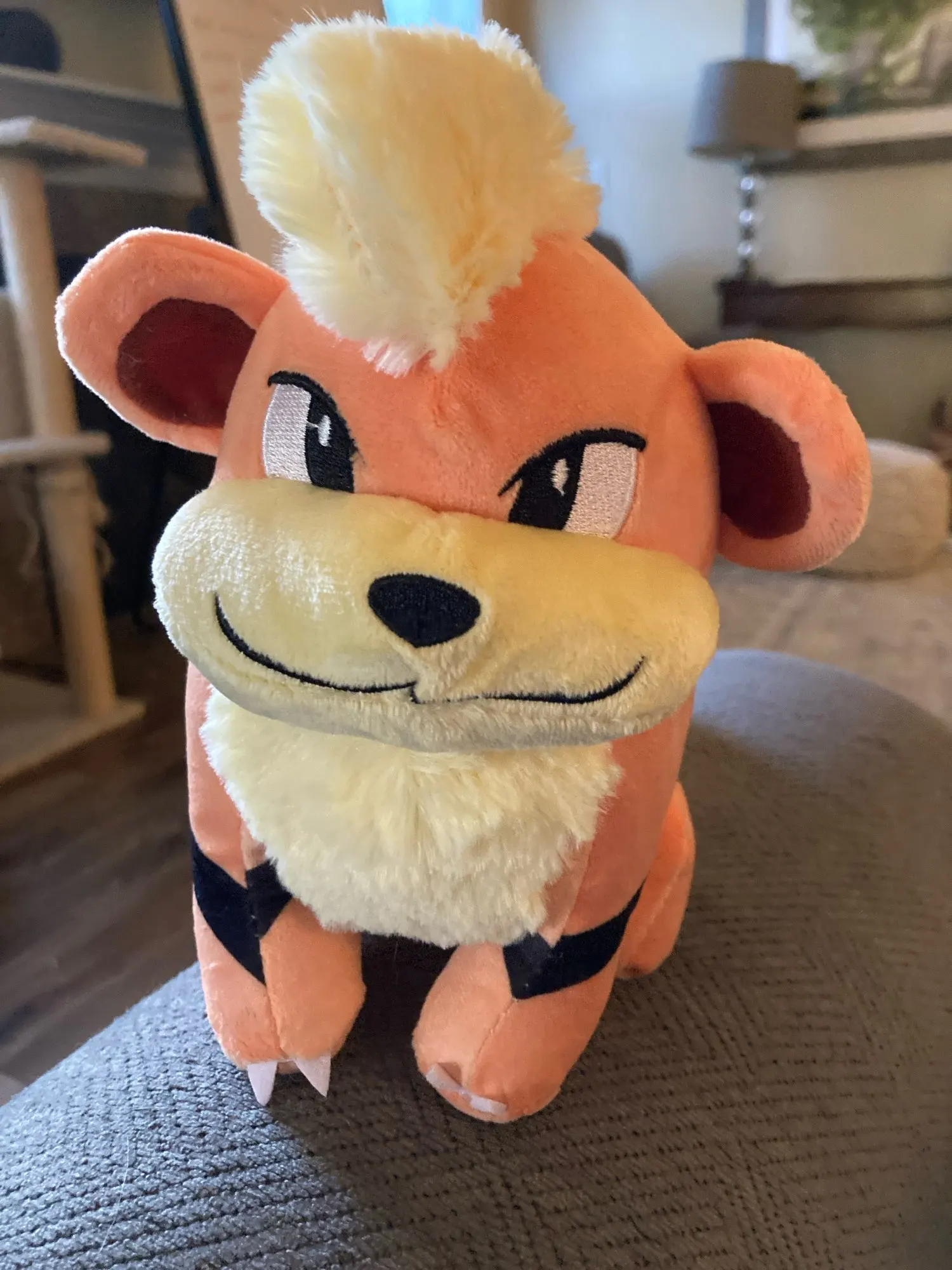 Customer review photo