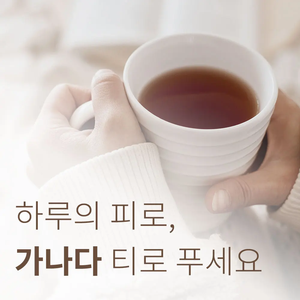 우엉차 티백 25T
