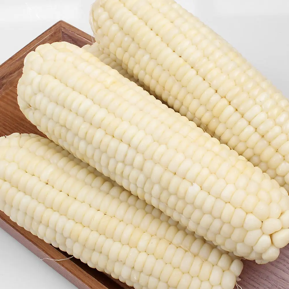 자연마루 백찰옥수수/ Chewy Chewy Hat White Chalk Corn Extra Large (16~18cm) 10/ 20/ 30 Pieces