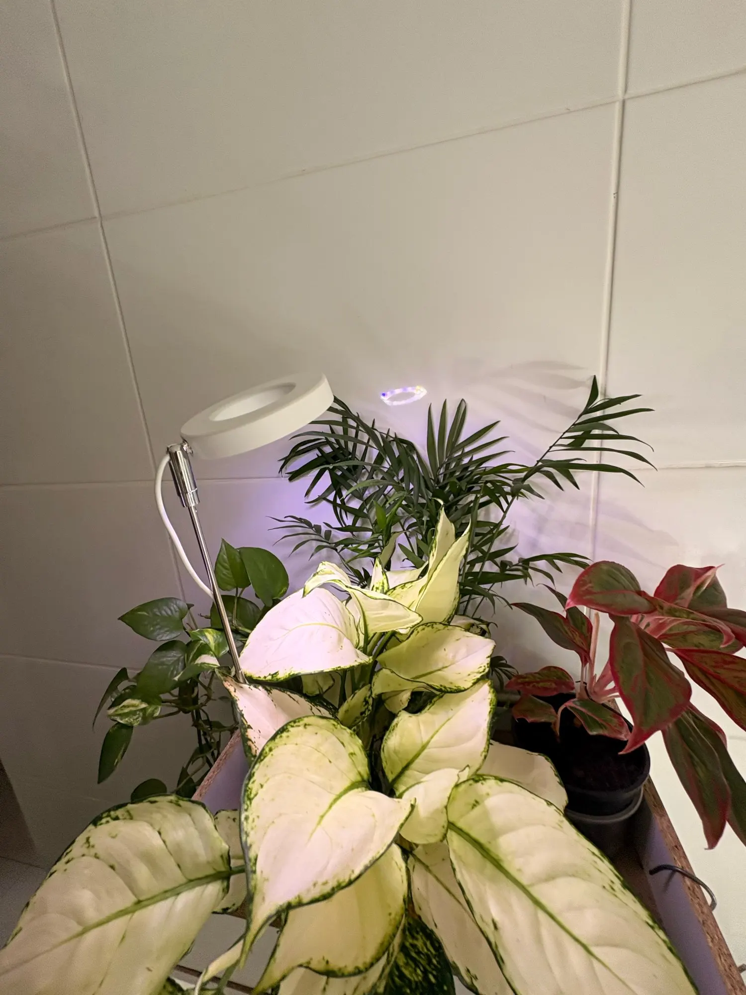 Kundebilde av produktet