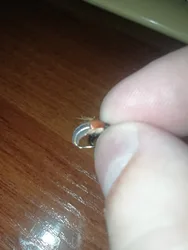Imagen de reseña 3