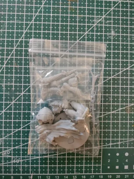 Buyer photo of this resin kit