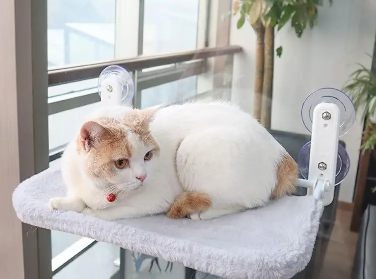 Cat Perch，Foldable Cordless Cat Hammock with 4 Strong Suction Cups Solid Metal Frame Soft Plush Pad for Cats Sunbathing Napping