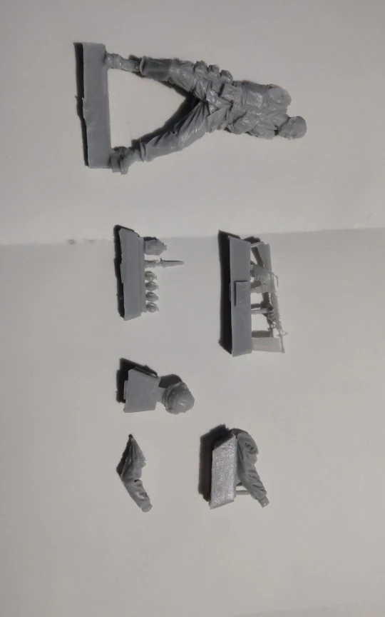Buyer photo of this resin kit
