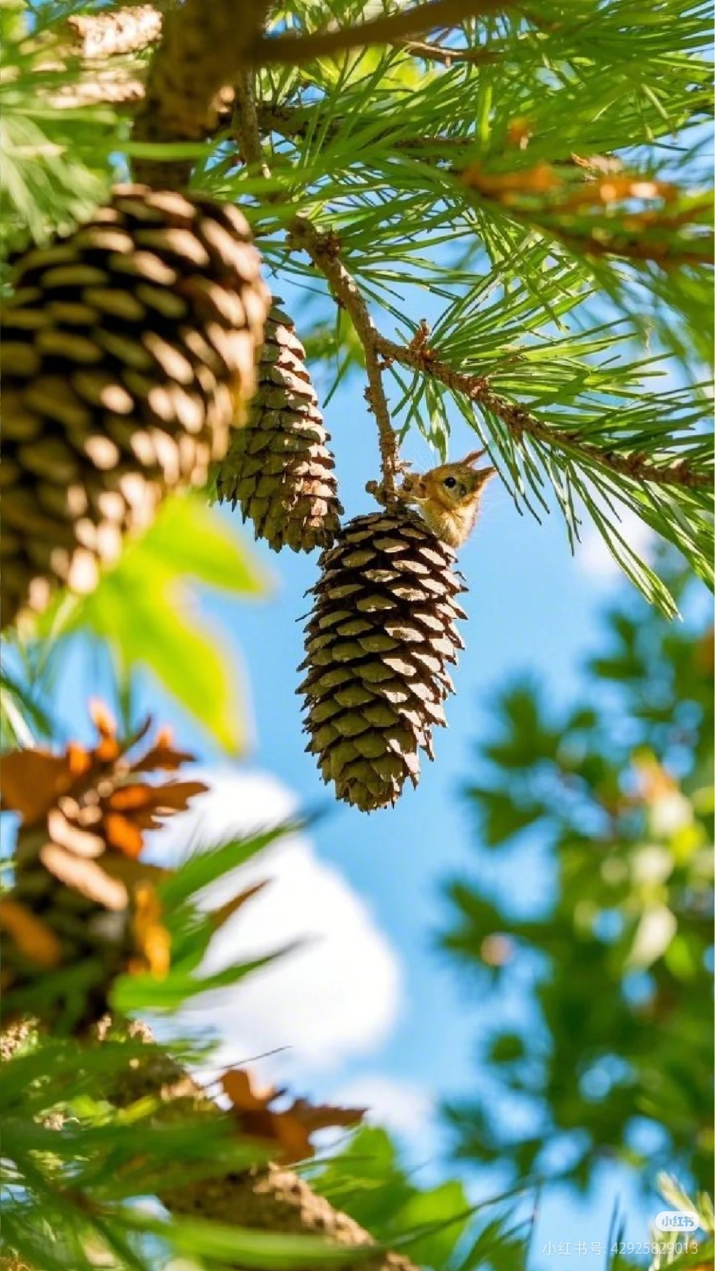 

Новая интеллектуальная система ударно-волновой терапии для облегчения боли, физиотерапевтическая пневматическая ударно-волновая система для лечения эректильной дисфункции и расслабления тела