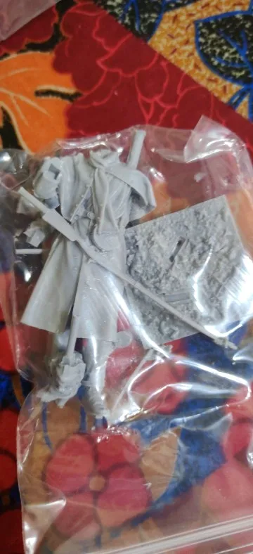 Buyer photo of this resin kit