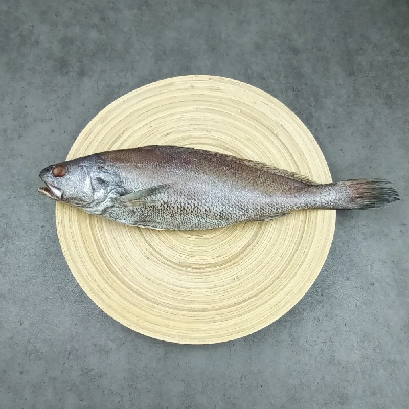 جيجو سمك كروكر كامل 400 جرام أو أكثر × 3 سمك