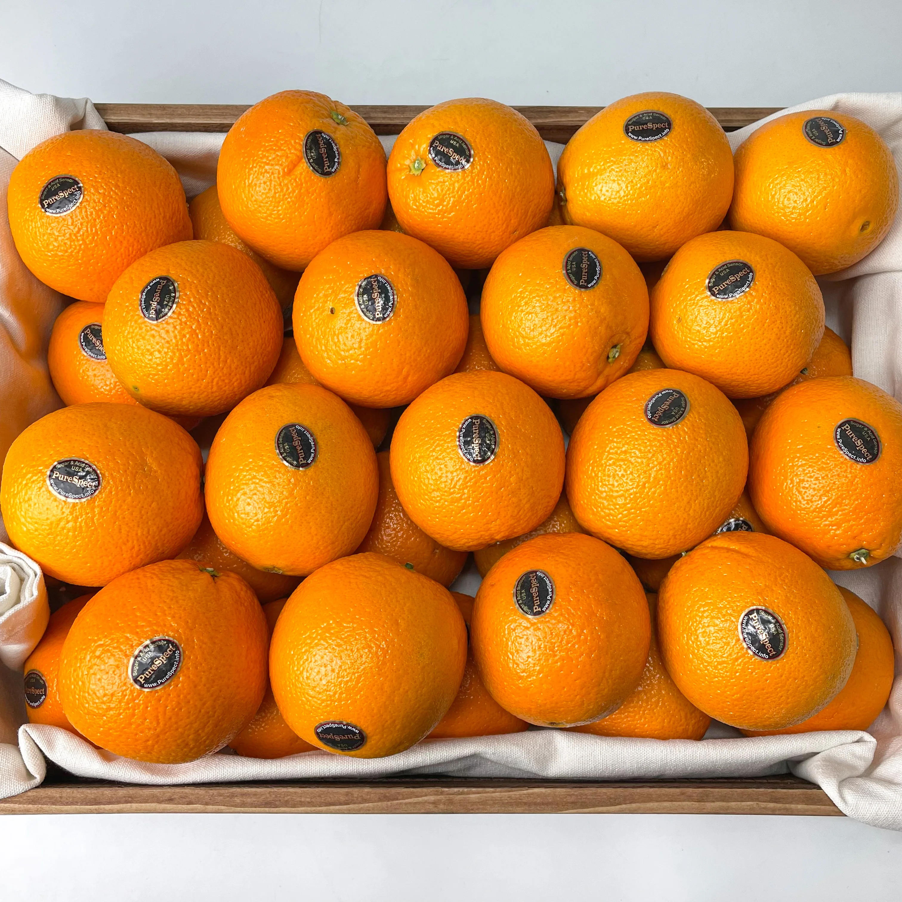 التسمية الأمريكية السوداء البرتقالية