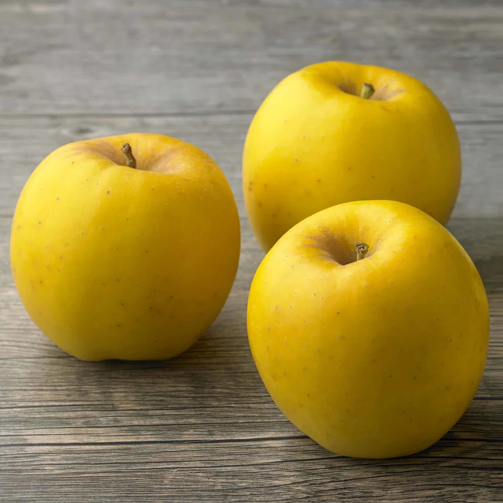 [Deal Pic] Home Inano gold/vice Apple 2.5kg