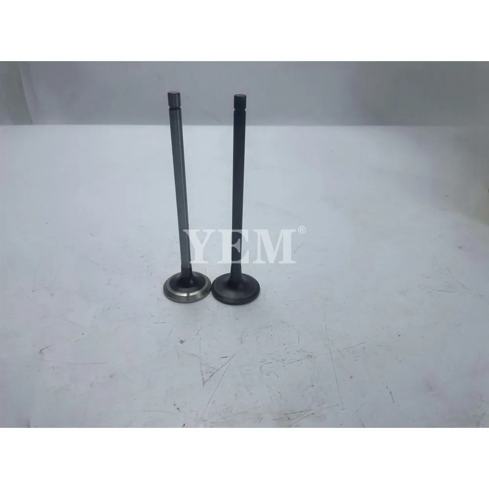 

New P11C Intake Valve For Hino Engine Spare Parts
