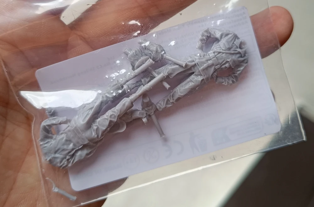 Buyer photo of this resin kit