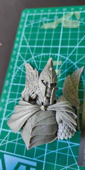 Buyer photo of this resin kit