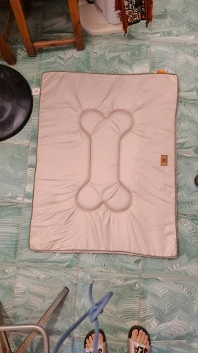 실물 포토 리뷰