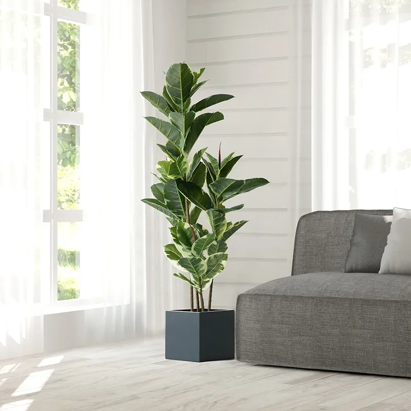 150cm große Ficus baum künstliche Pflanzen gefälschte Baum Kunststoff Banyan Blätter echte Berührung