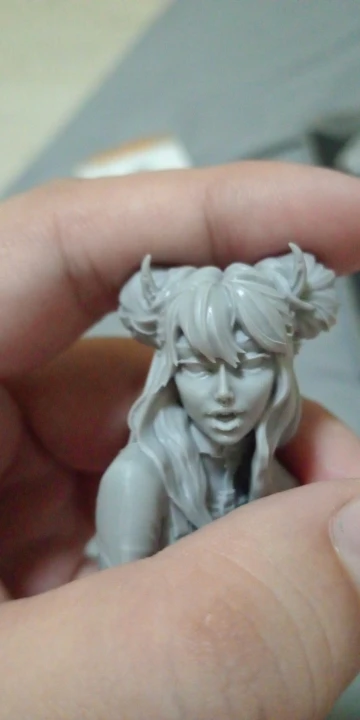 Buyer photo of this resin kit