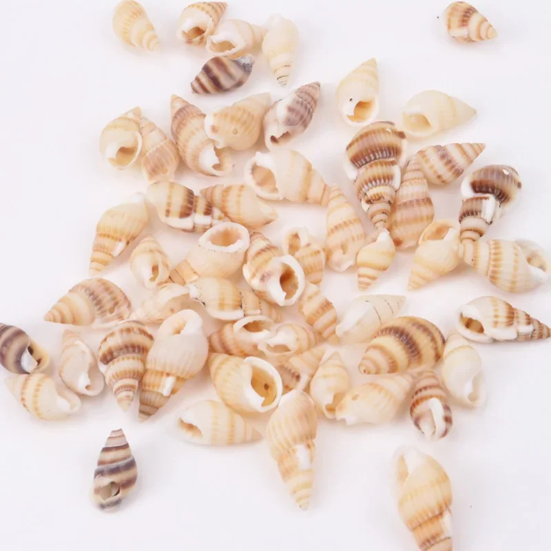 19-25mm naturalne spiralne luźne koraliki do tworzenia biżuterii DIY 50 sztuk TRS0126X — zdjęcie 2