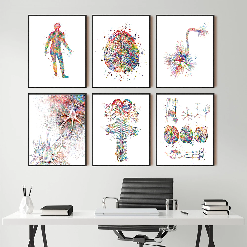 Neuroscience Art Prints Watercolor Poster Anatomical Brain Nervous System Neuron Cell Synapse Canvas Painting Office Wall Decor