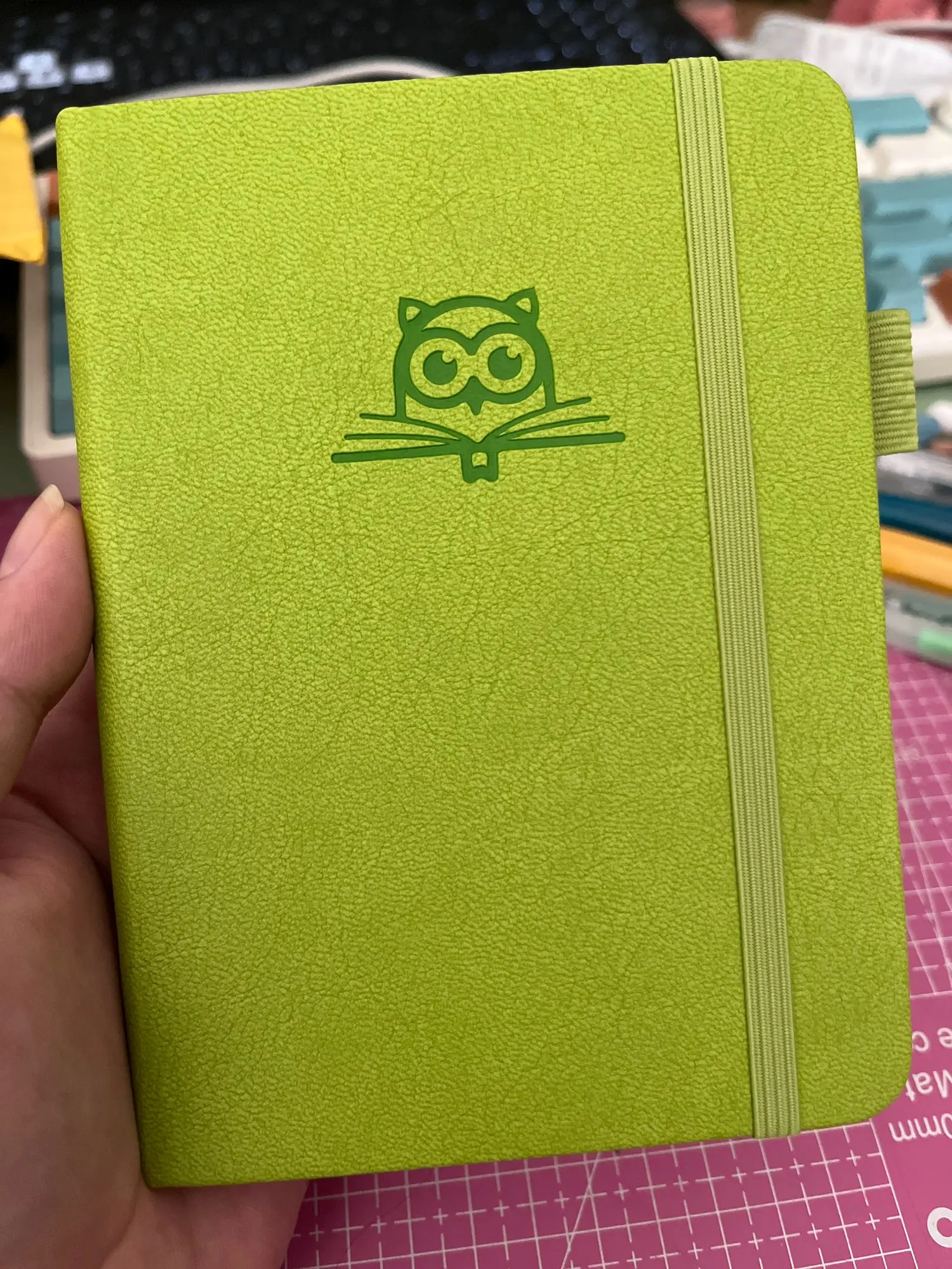 리뷰 사진