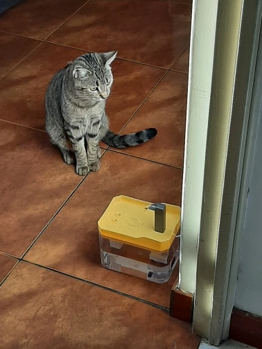 구매후기