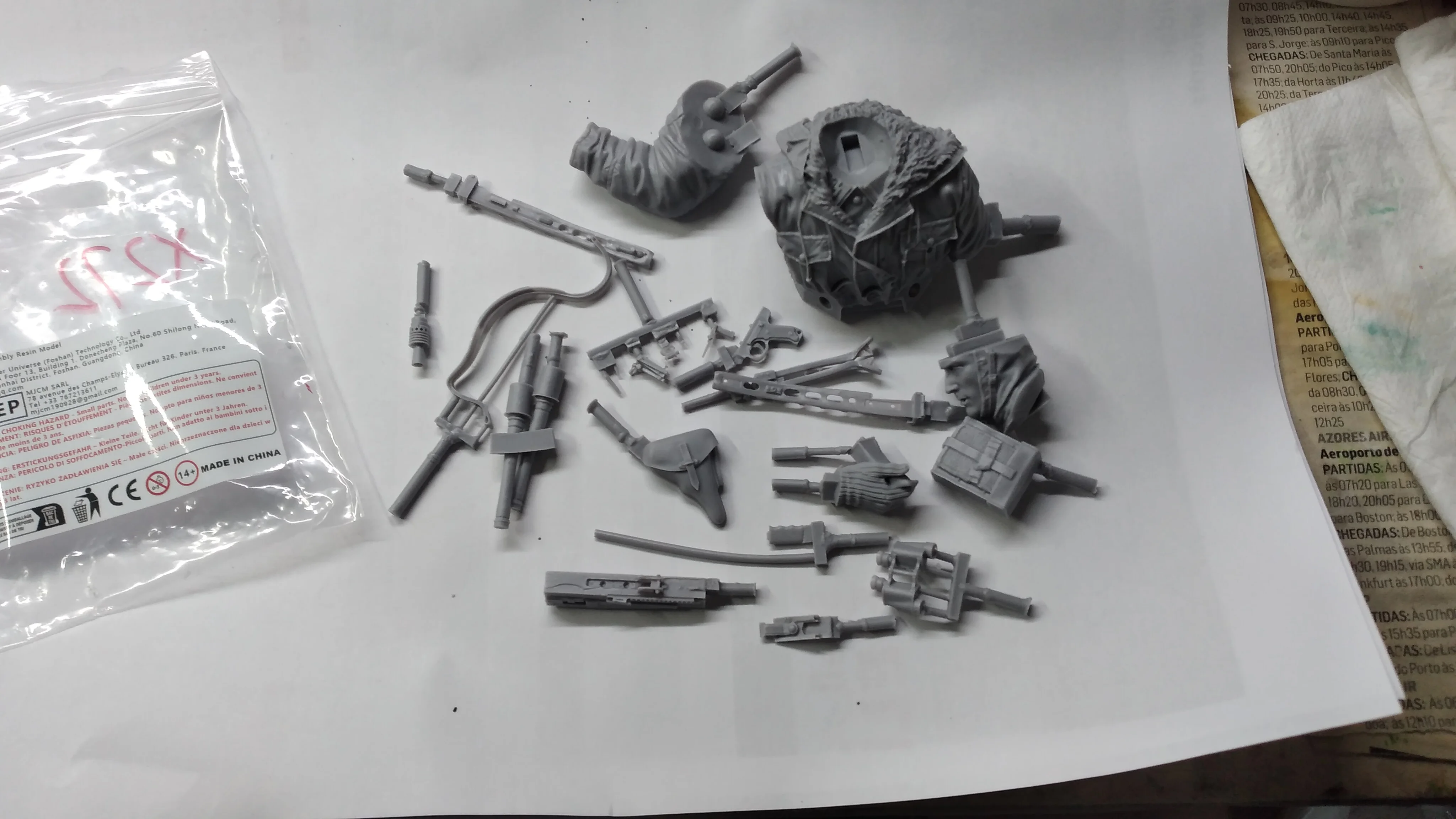 Buyer photo of this resin kit
