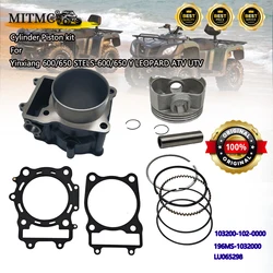 Yinxiang için silindir Piston kiti 600/650 STELS-600/650 Y leopar 103200-102-0000,196MS-1032000 lulu298
