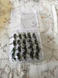 Imagen de reseña 3