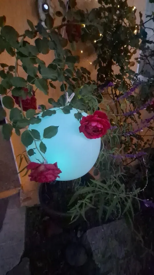 Boule lumineuse multicolore étanche et flottante pour piscine ou bassin