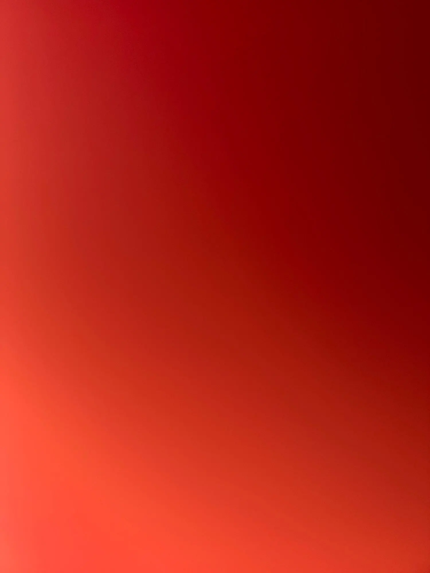 실물 포토 리뷰