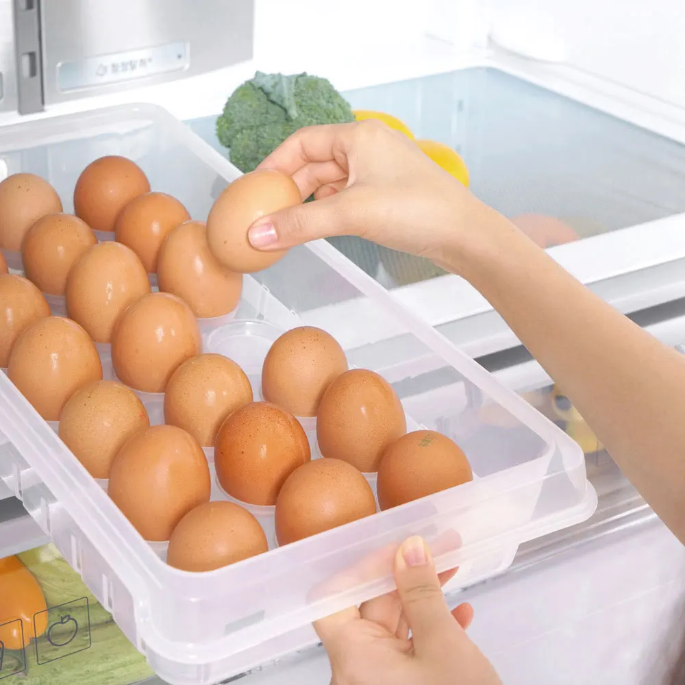 Changshin Living Step Egg Tray No. 2 (21 Slots) Slim Egg Storage Organizer eggs storage kitchenware