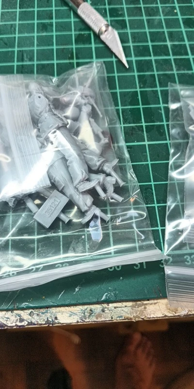 Buyer photo of this resin kit