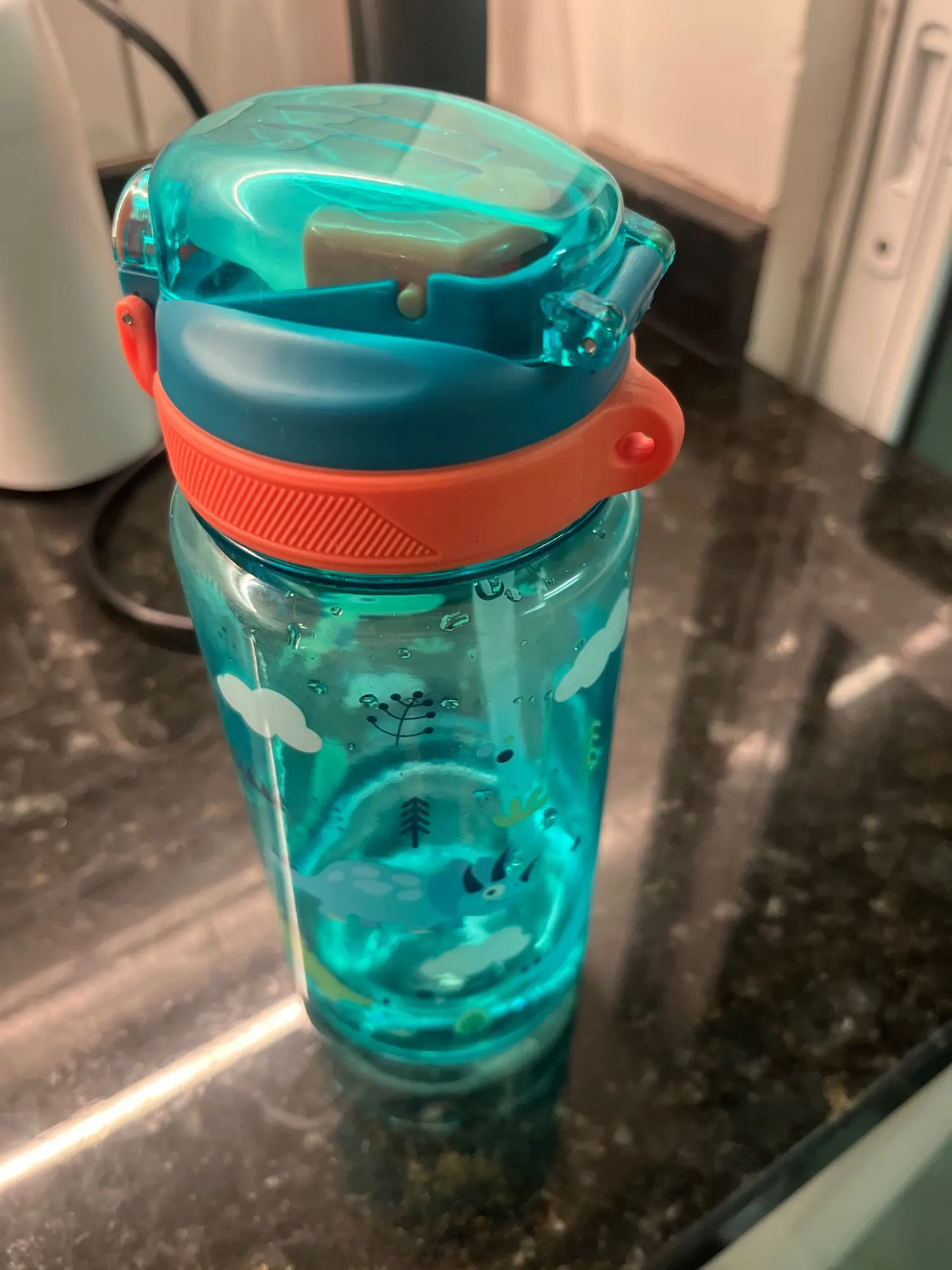 Gourde Enfant Transparente Motif Animaux 480ml