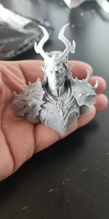 Buyer photo of this resin kit