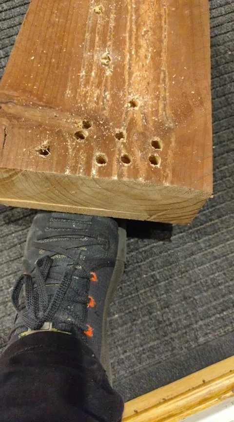 리뷰 사진