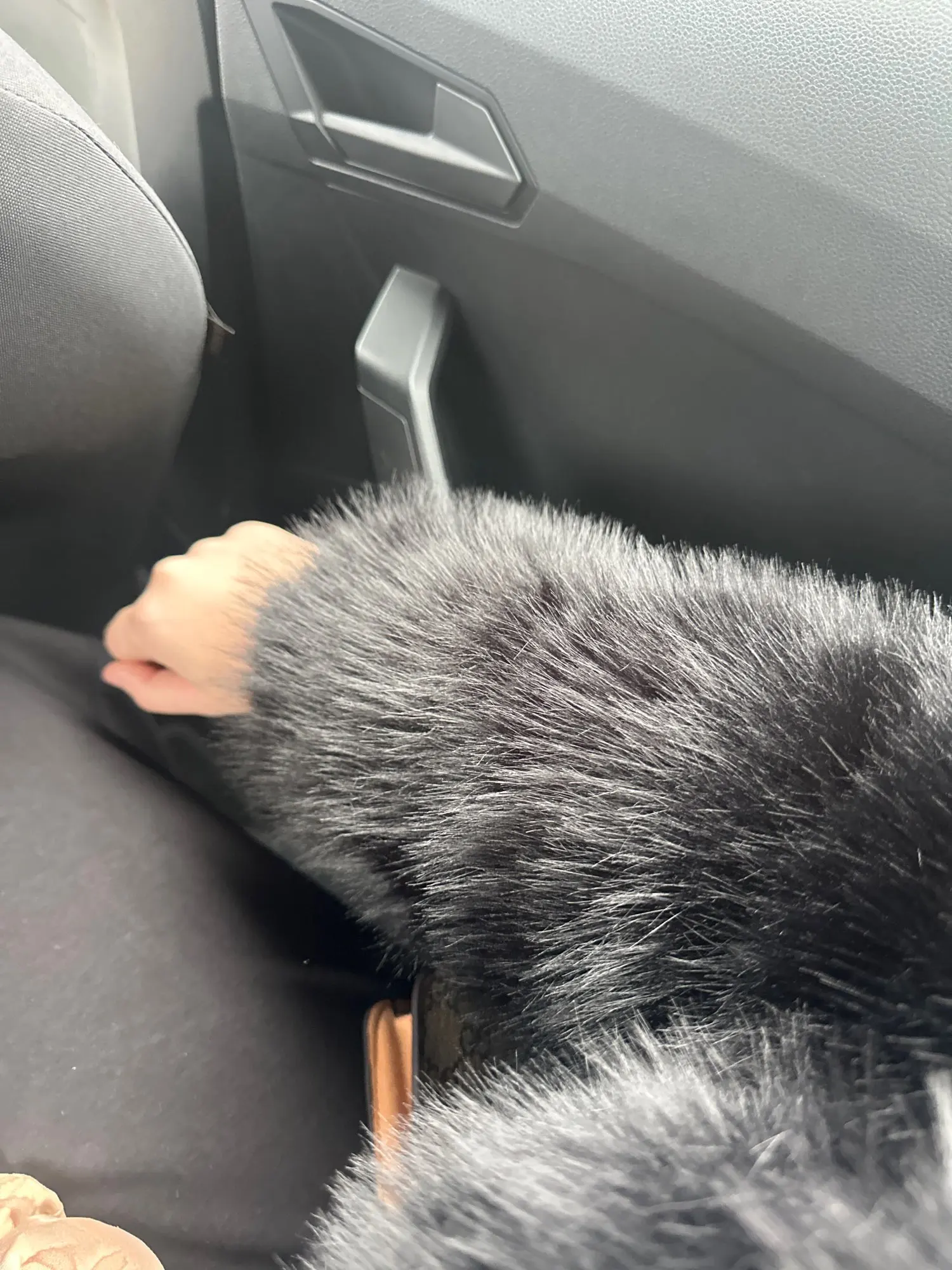 실물 포토 리뷰