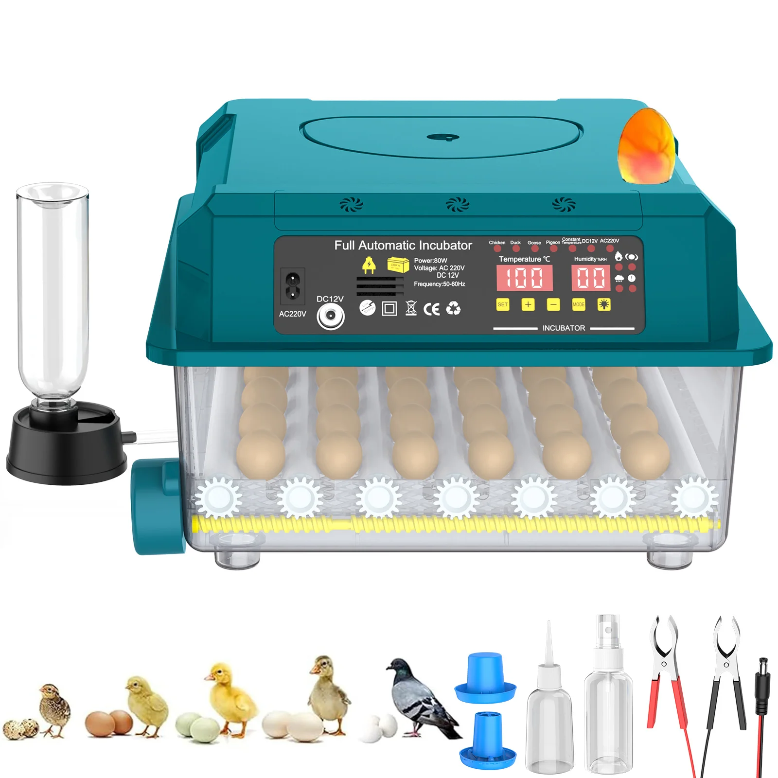 Incubateur 36 œufs avec remplissage automatique d'eau ionisée et contrôle de la température – Machine à couver pour poulets, canards, cailles – Éleveuse domestique