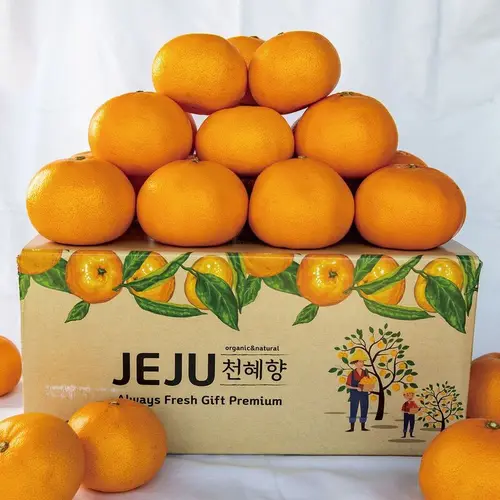 제주 천혜향 2.5kg 가정용 4.5kg 선물세트 