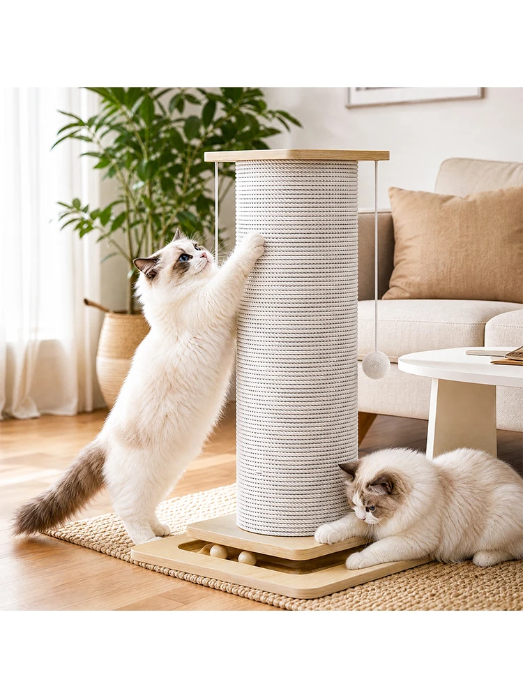 60 cm/80 cm Robuster Kratzbaum für Katzen mit Hängender Spielball & Stabile & Robuste Basis Interaktives Spielzeug für Hauskatzen