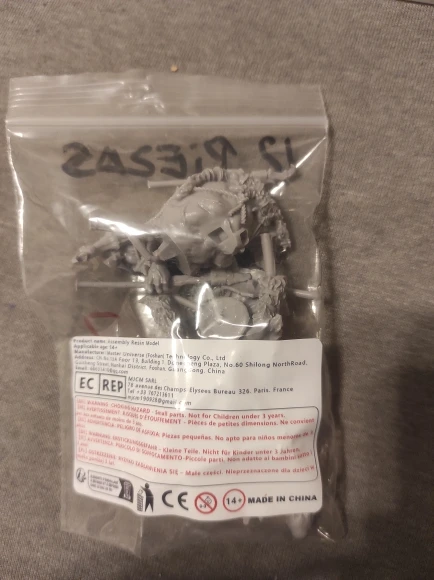 Buyer photo of this resin kit