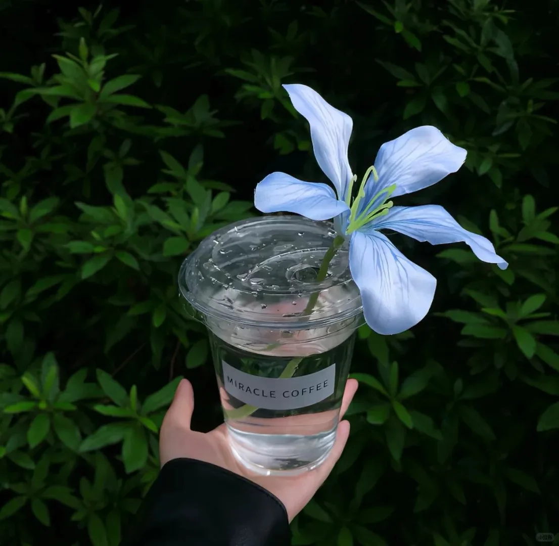 2026 Professional H… - image