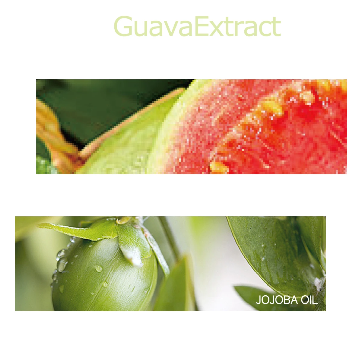 NIVAVIN 30ml/60ml/100ml Guava Essential Oil, pure natural plant extracts, rich fruity aroma, suitable for home use.