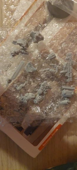 Buyer photo of this resin kit