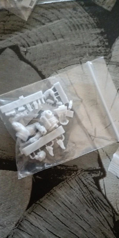 Buyer photo of this resin kit