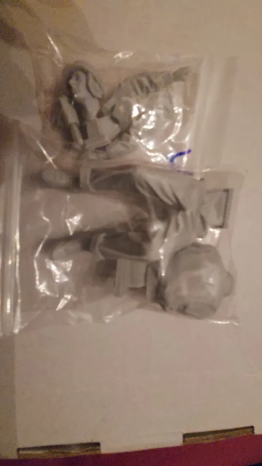 Buyer photo of this resin kit