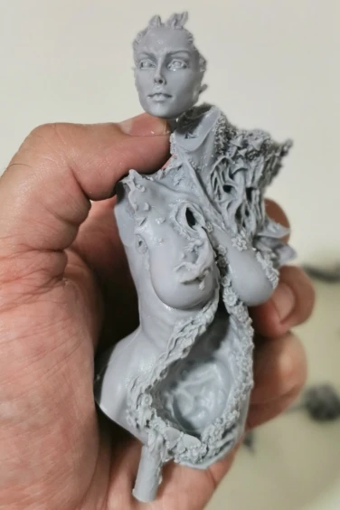Buyer photo of this resin kit